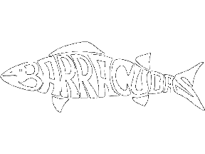 Emmorton-Barracudas-Logo_White